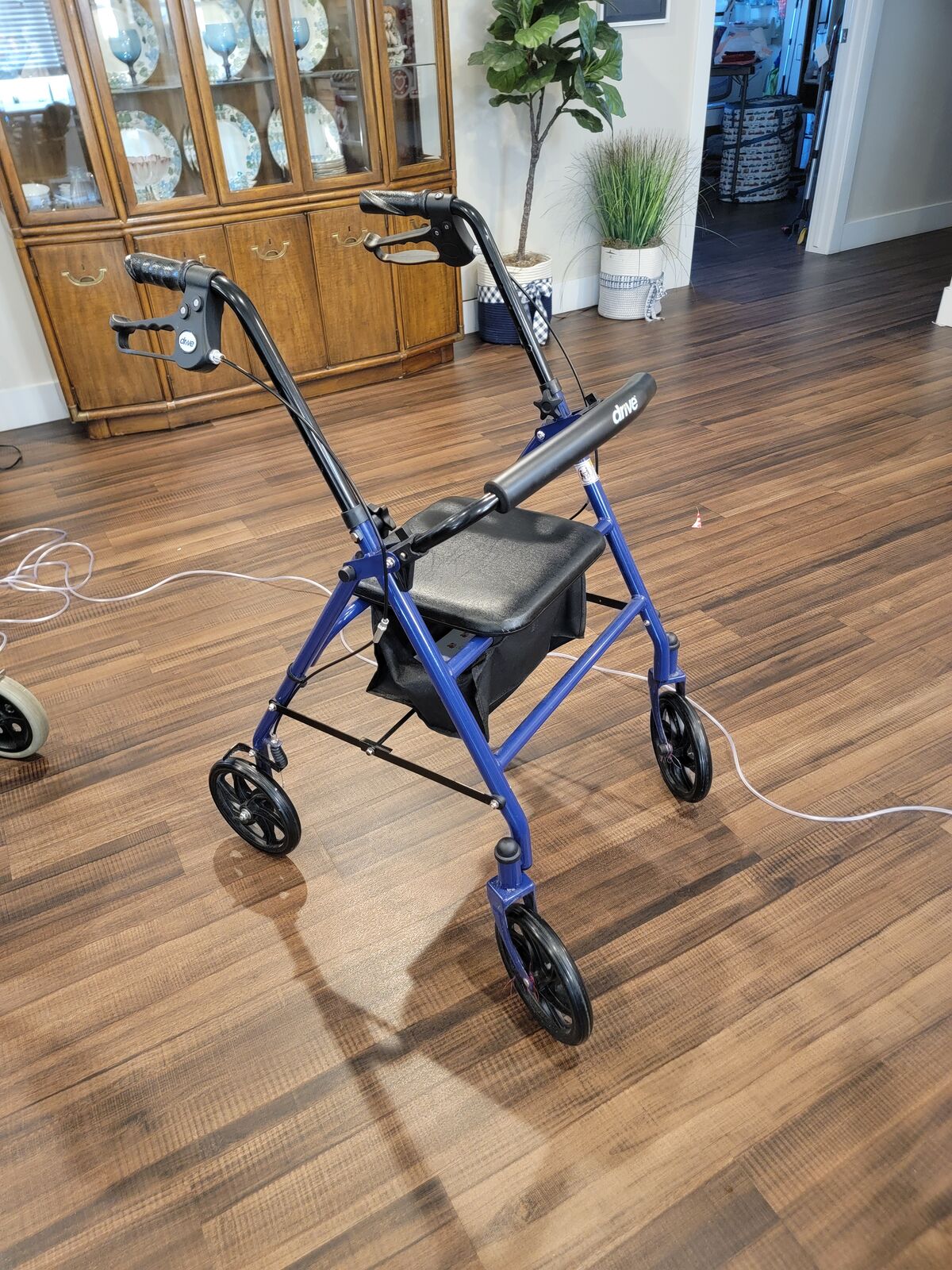 mobility walker