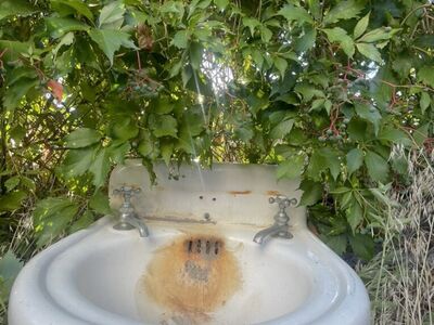 1900’s sink (historical piece)