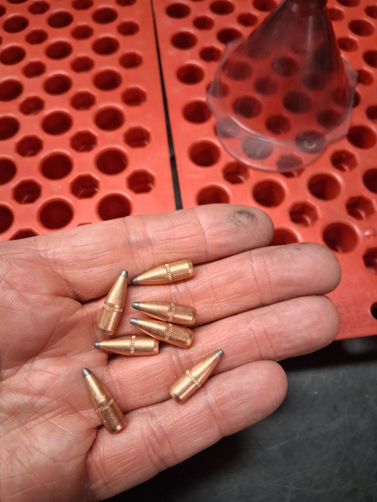 Hornady BTSP .224 55gr.