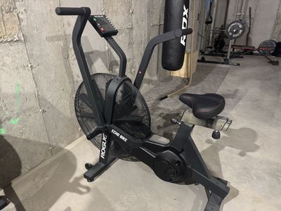 Rogue Echo Bike