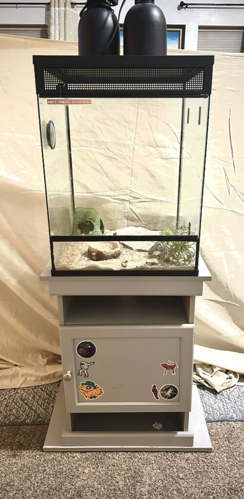 Lizard Reptile Enclosure Tank 24 X 18 X 18