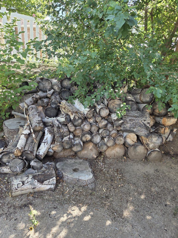 Seasoned firewood! Dry as a bone!