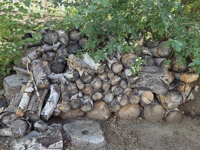 Seasoned firewood! Dry as a bone!