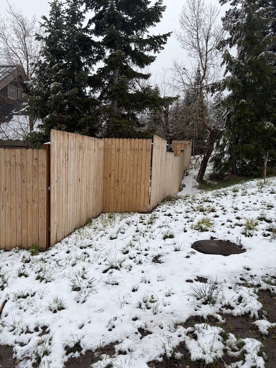 Wood fence 1yr old