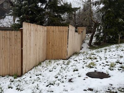 Wood fence 1yr old