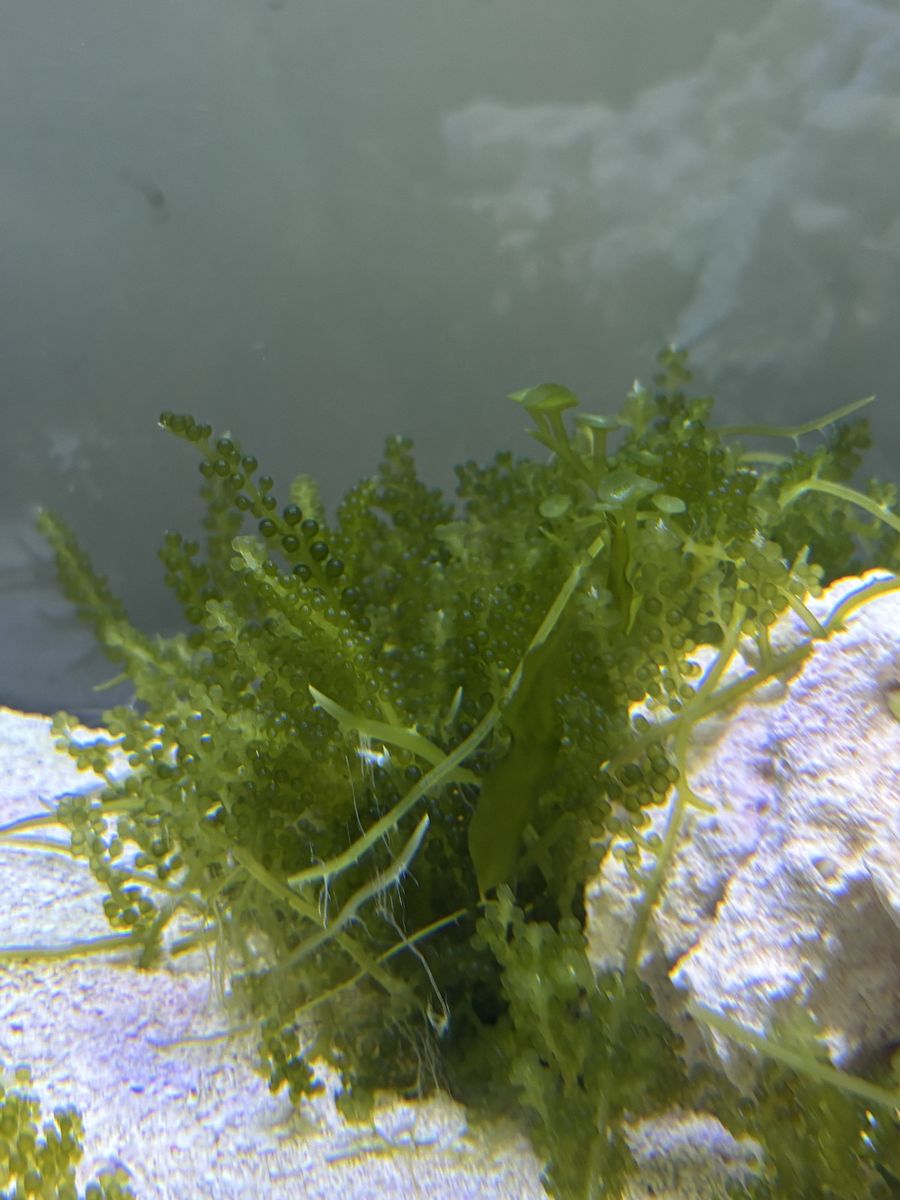Main image 2
