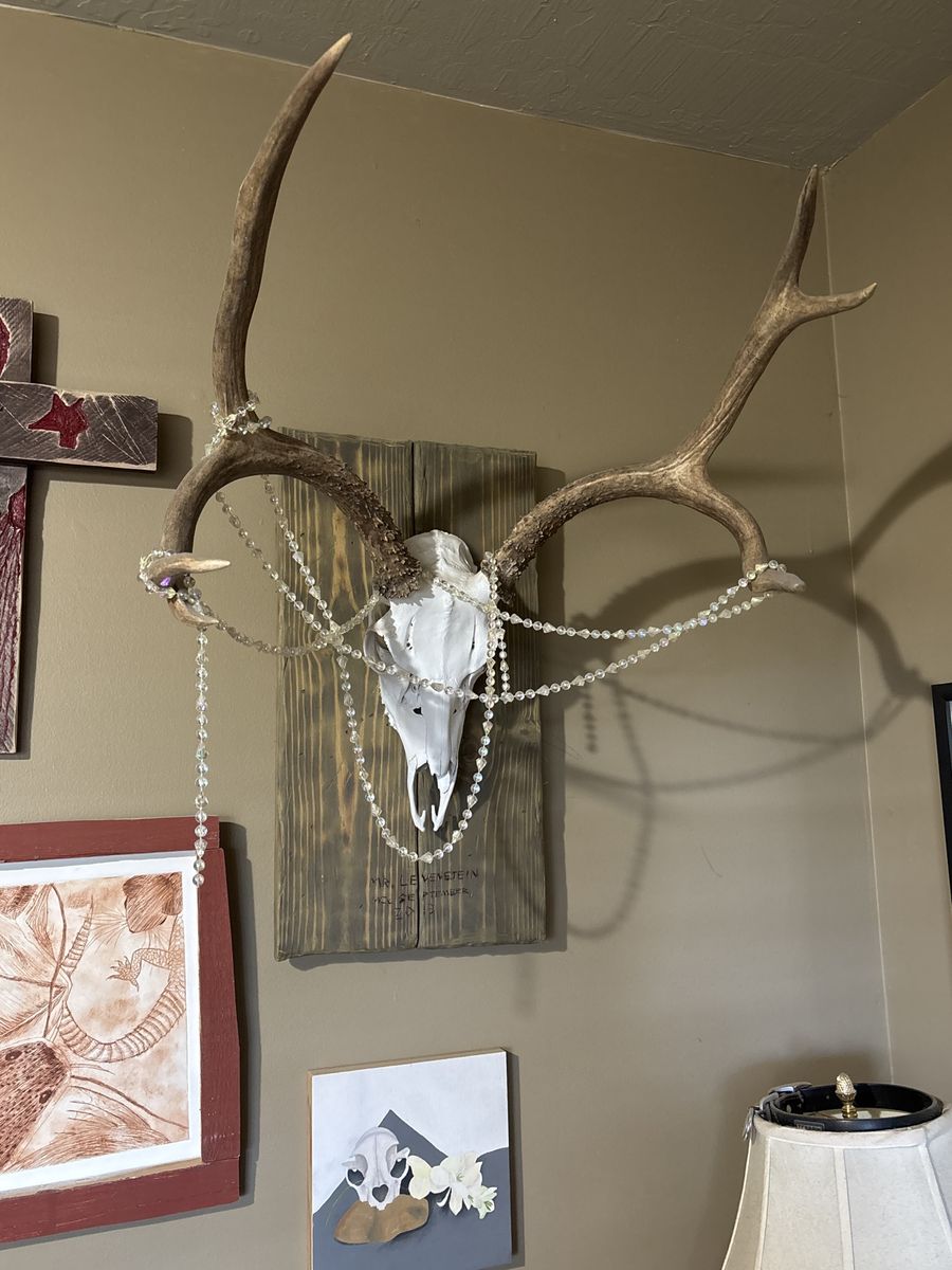 Cool deer skull 