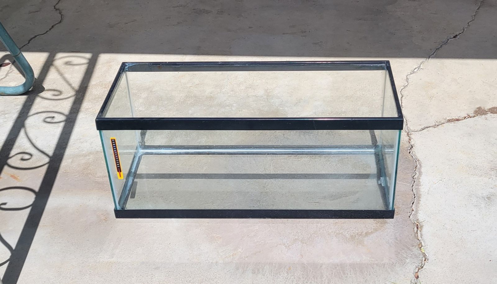 20-Gallon Long Fish Tank