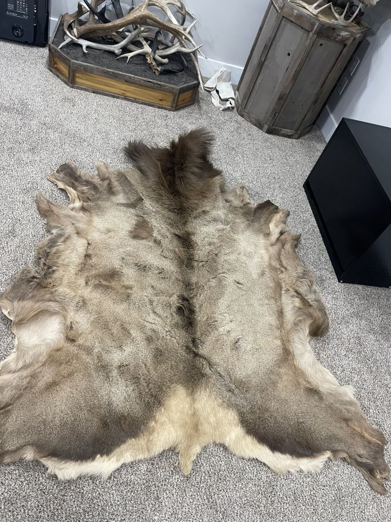 Elk Rugs