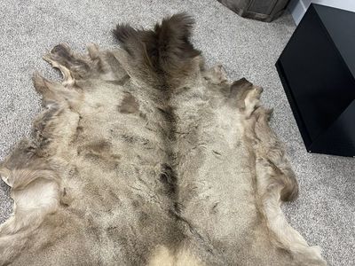 Elk Rugs