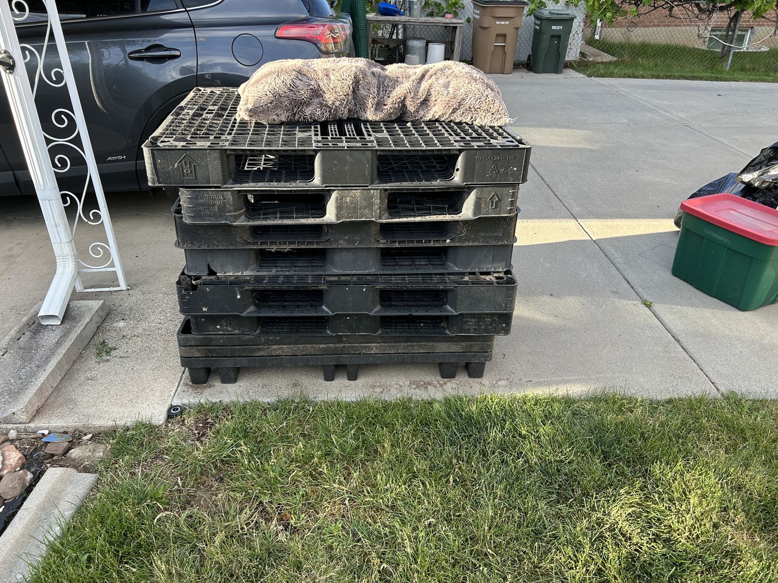 Plastic Palletts - Free
