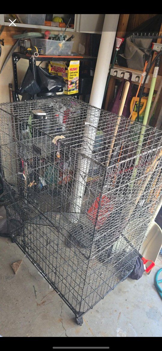 Multi level large wire bird or rodent cage