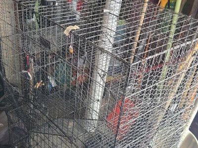 Multi level large wire bird or rodent cage