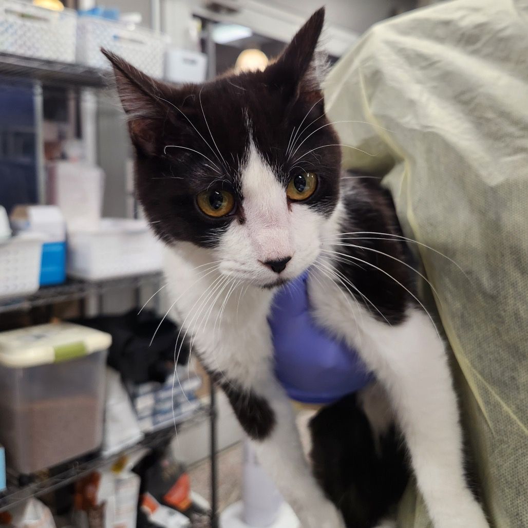 Hello my name is Giovanni