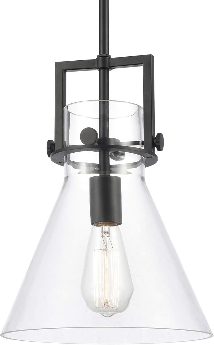 Innovations Lighting 411-1S-BK-10CL Newton - 10"