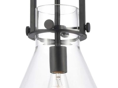 Innovations Lighting 411-1S-BK-10CL Newton - 10"