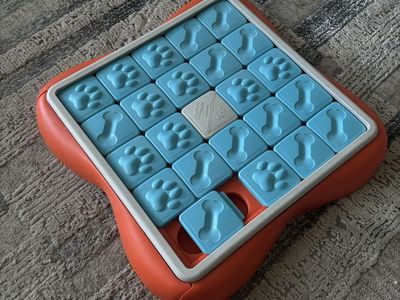 Dog puzzle
