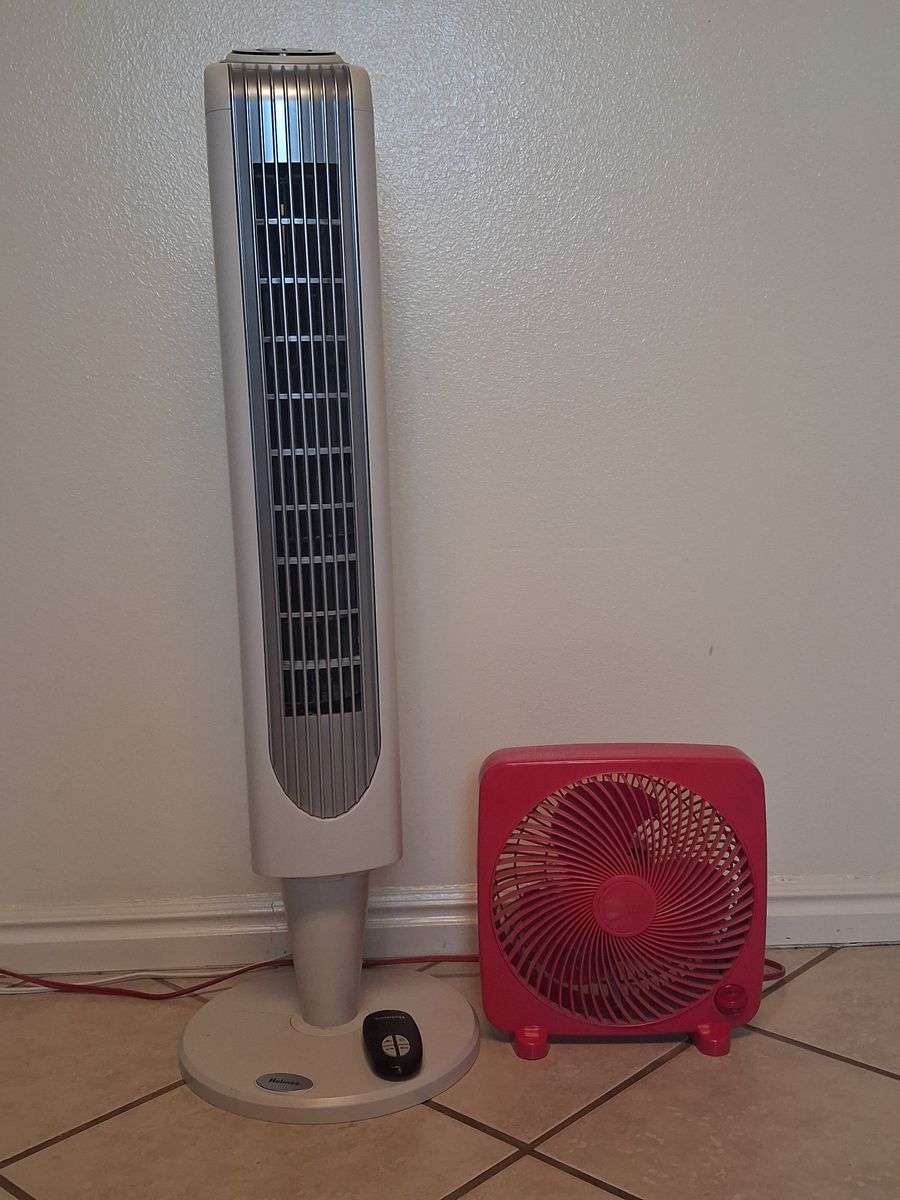 Fans