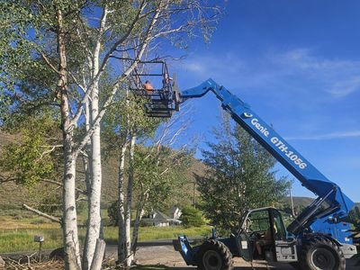 Genie GTH-1056 Telehandler with Personnel Basket
