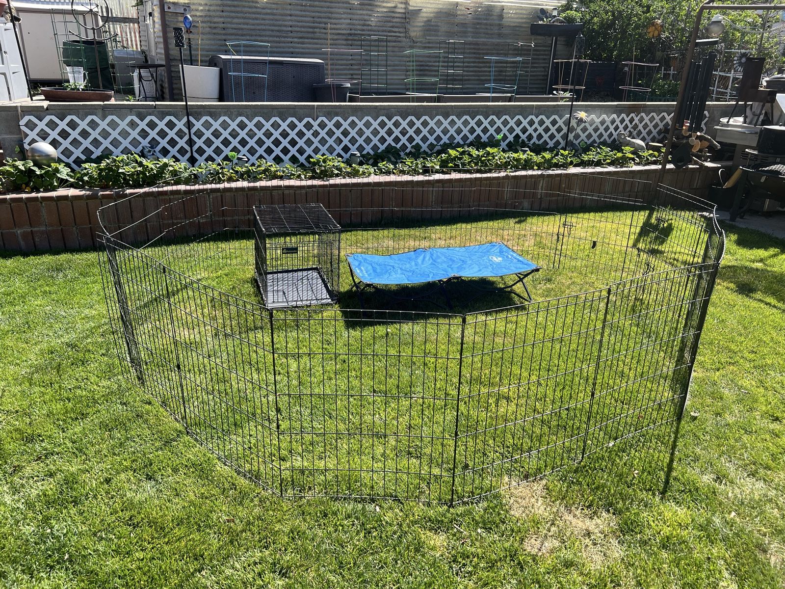 Foldable Indoor/Outdoor Pet Exercise Pen (2) with wire kennel and pet cot $75 obo takes all