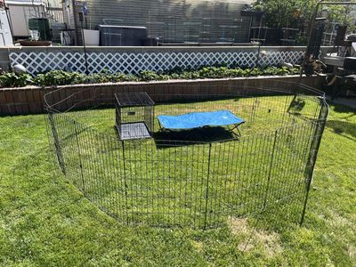 Foldable Indoor/Outdoor Pet Exercise Pen (2) with wire kennel and pet cot $75 obo takes all