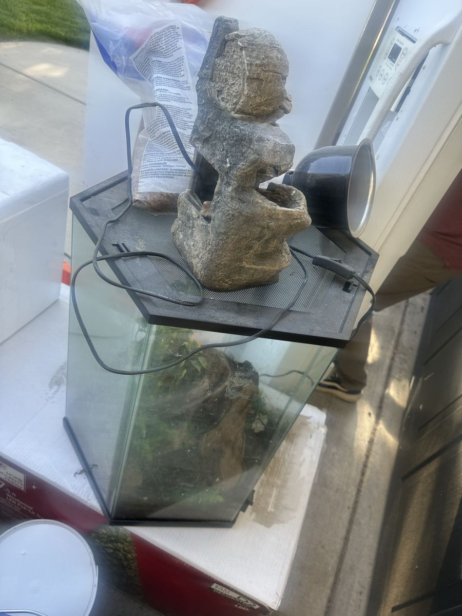 Free gecko terrarium