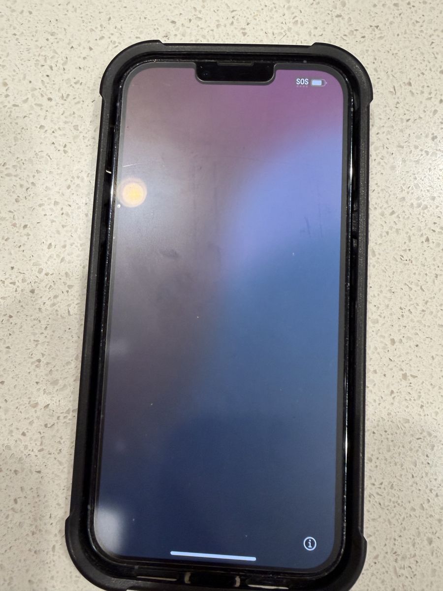 iPhone 13 Pro Max