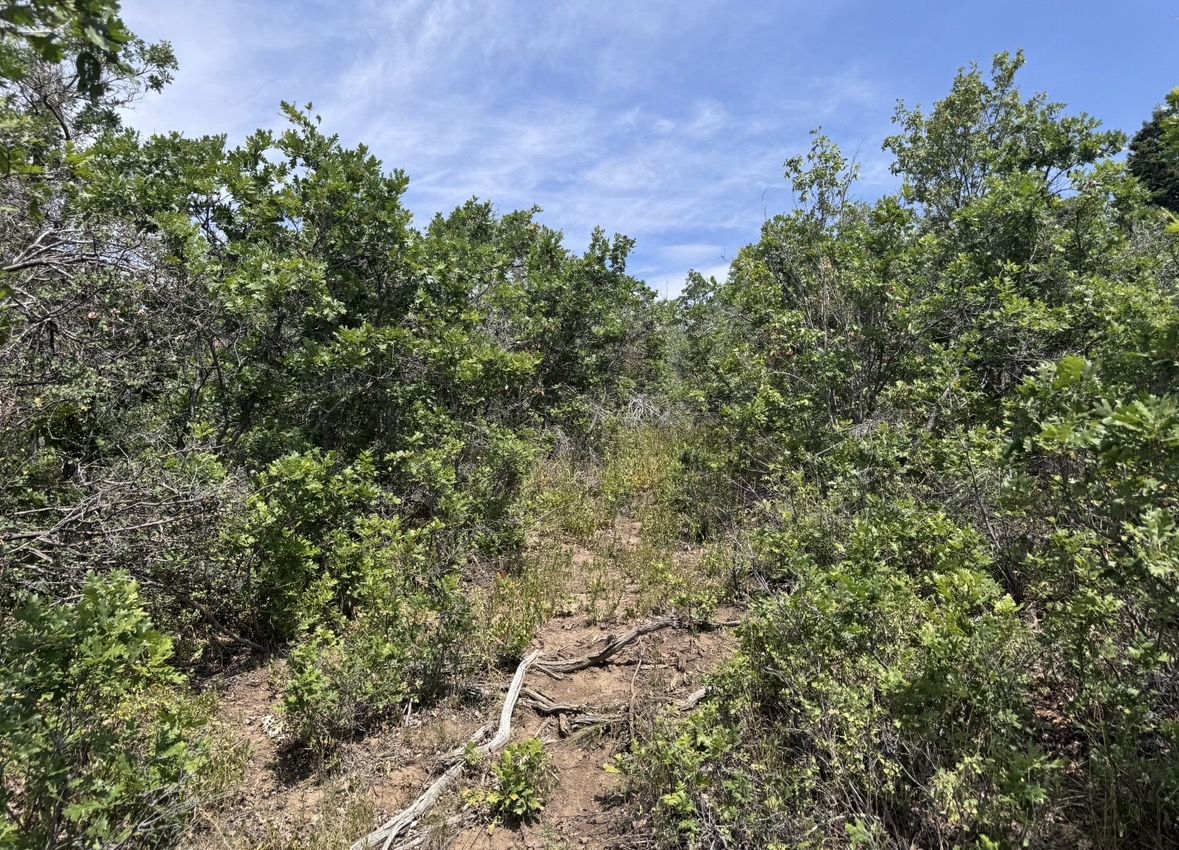 Main image 6