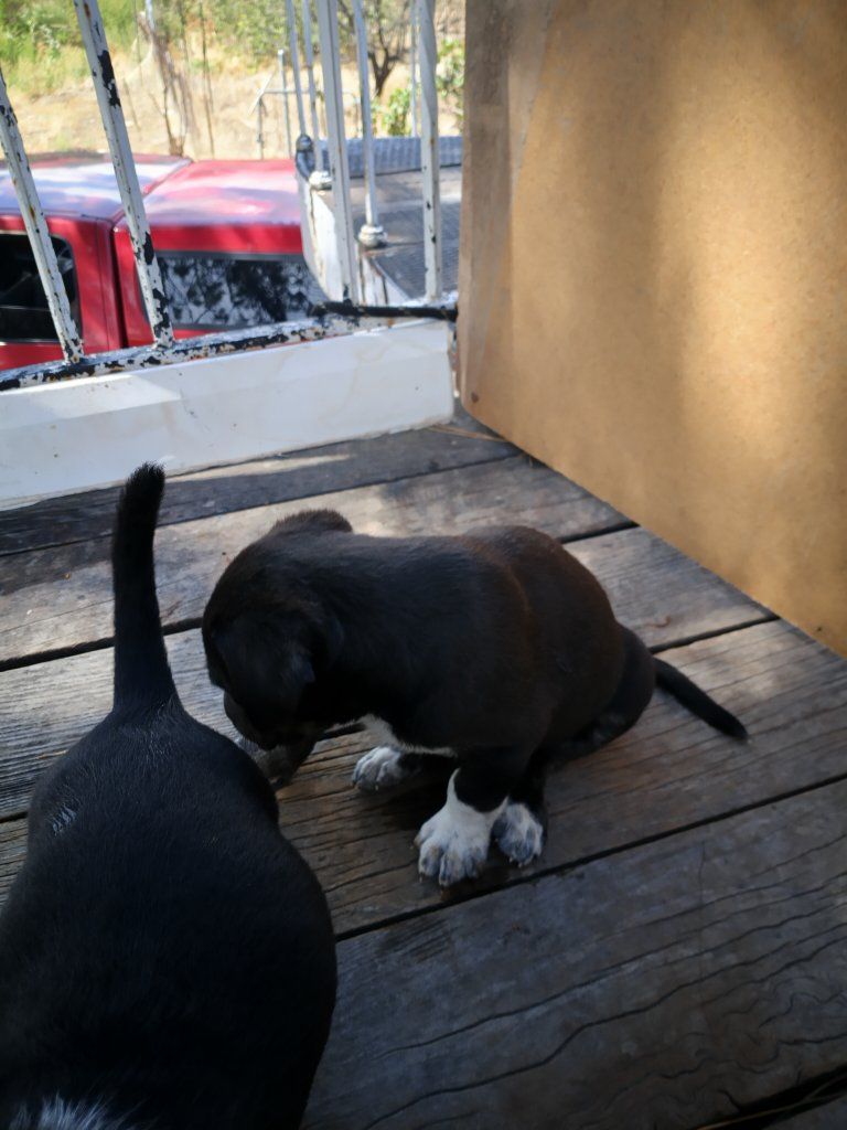Main image 5