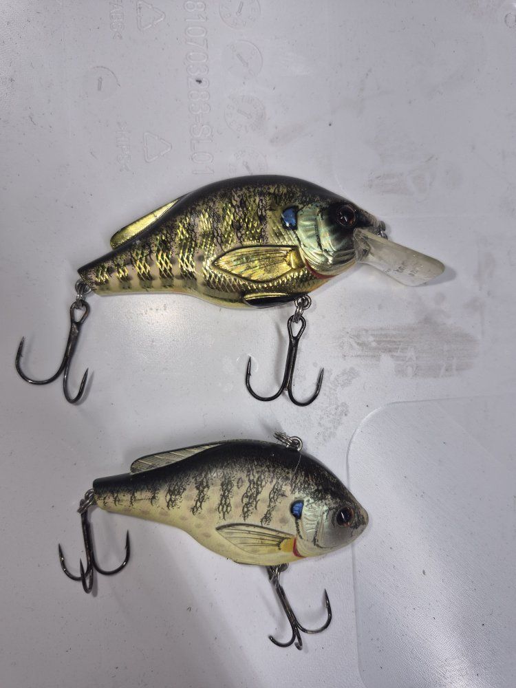 Lot of 2 Fish Design Crankbaits Fishing Lures - Realistic Bass/Bluegill Imitation