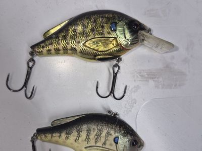 Lot of 2 Fish Design Crankbaits Fishing Lures - Realistic Bass/Bluegill Imitation