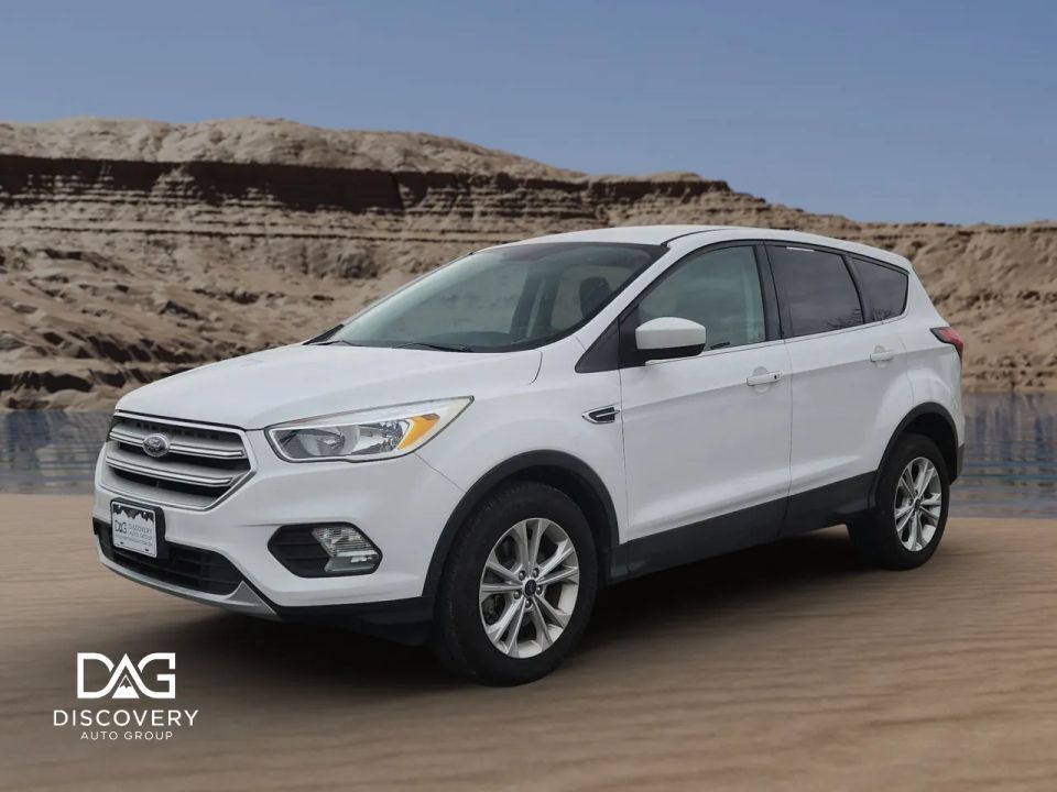2019 FORD ESCAPE SE