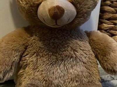 Build a bear happy birthday brown bear