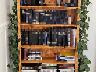 House plants for sale