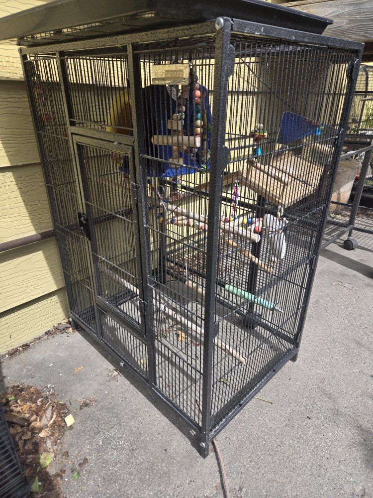 Bird Cages (Actually Nice)