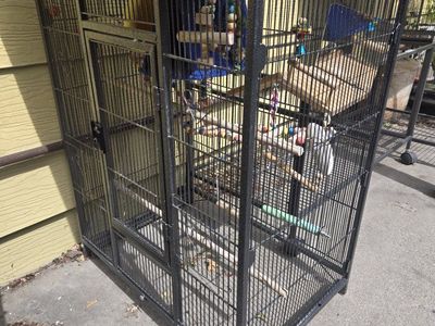 Bird Cages (Actually Nice)