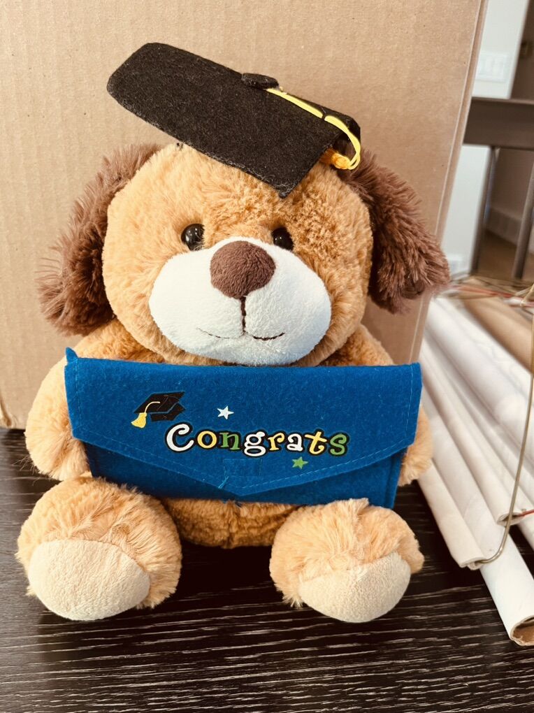 Graduation Bear With Money Pocket