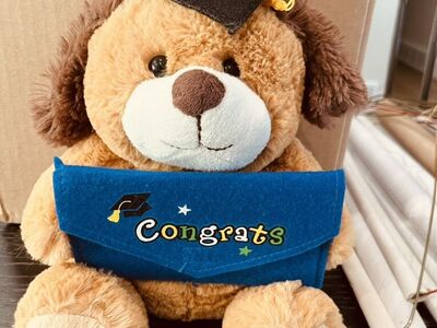 Graduation Bear With Money Pocket