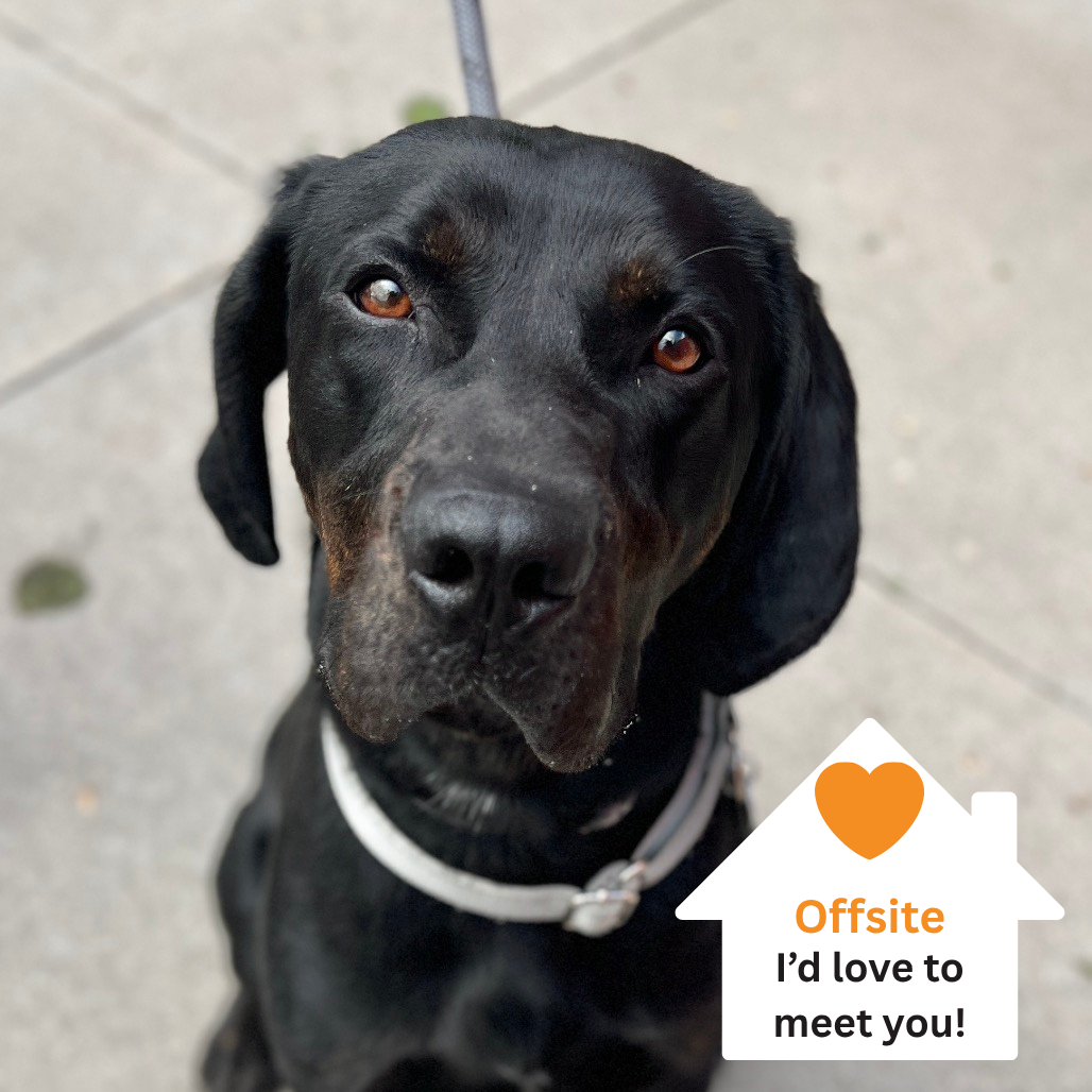 Hello my name is Kevin