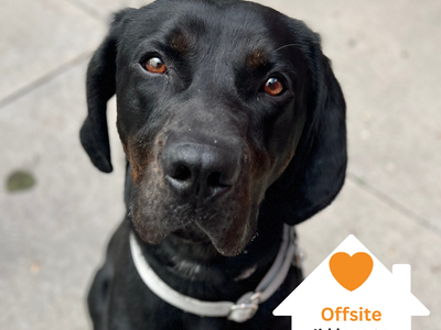 Hello my name is Kevin