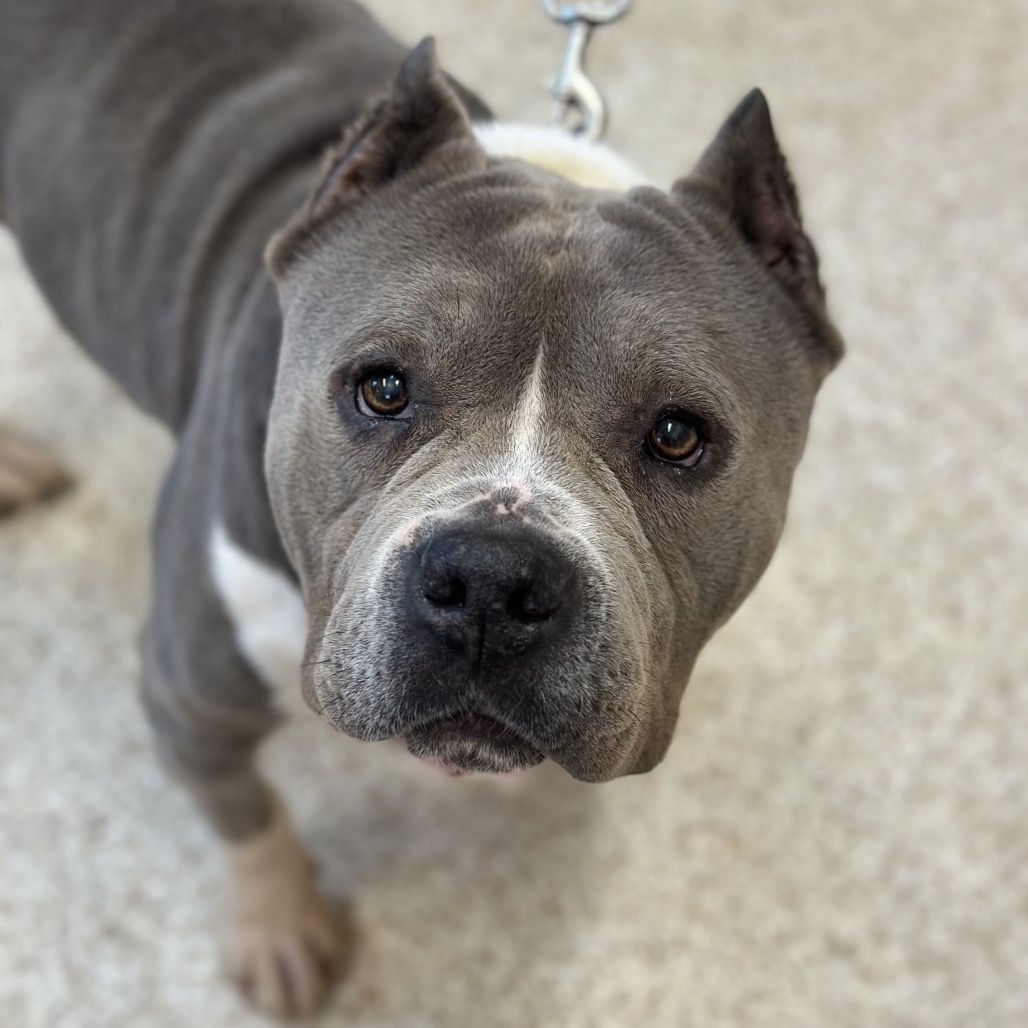 Hello my name is Marky Mark