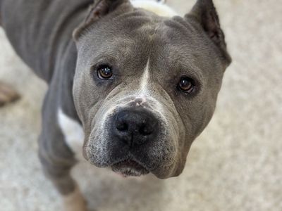 Hello my name is Marky Mark