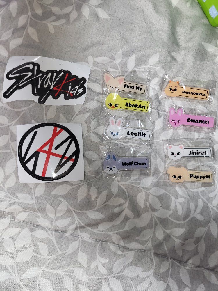 Stray Kids K-Pop Decal Stickers & SKZOO Member Character Name Tags - New