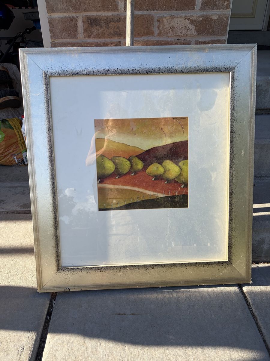 Framed Landscape Art Print with Distressed Silver Frame 28X30inches
