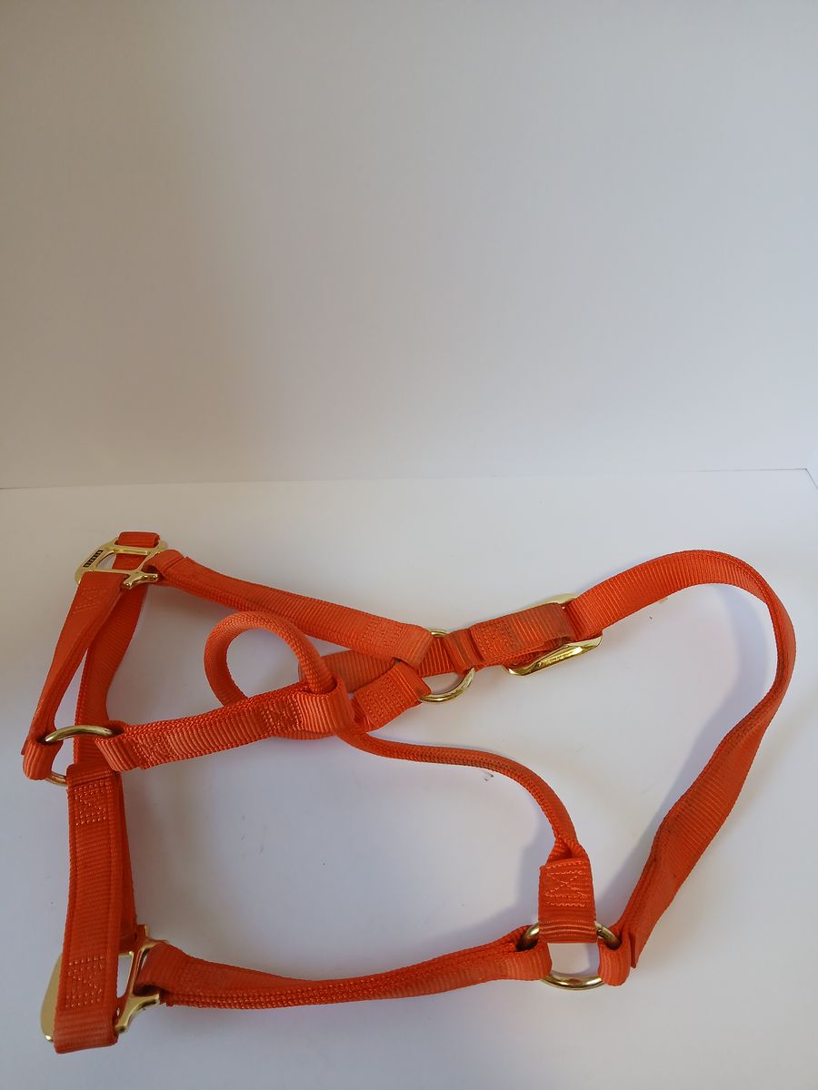 Weaver Orange Adjustable Horse Halter, Head Stall, Bridle, Large Horse Size, Horse Tack