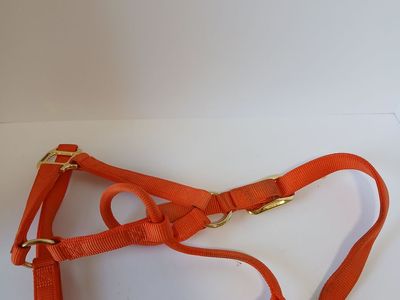 Weaver Orange Adjustable Horse Halter, Head Stall, Bridle, Large Horse Size, Horse Tack