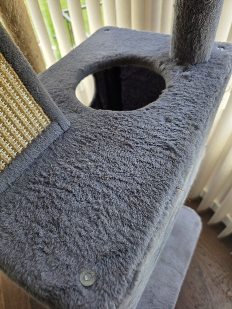 Main image 7