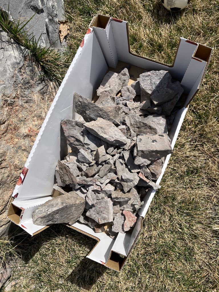 Free Rocks- Various Sizes