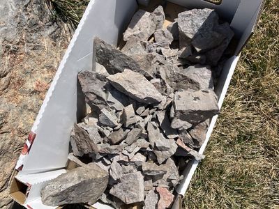 Free Rocks- Various Sizes