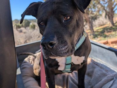 Hello my name is Lilac